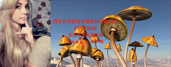 амфетамин Богородицк